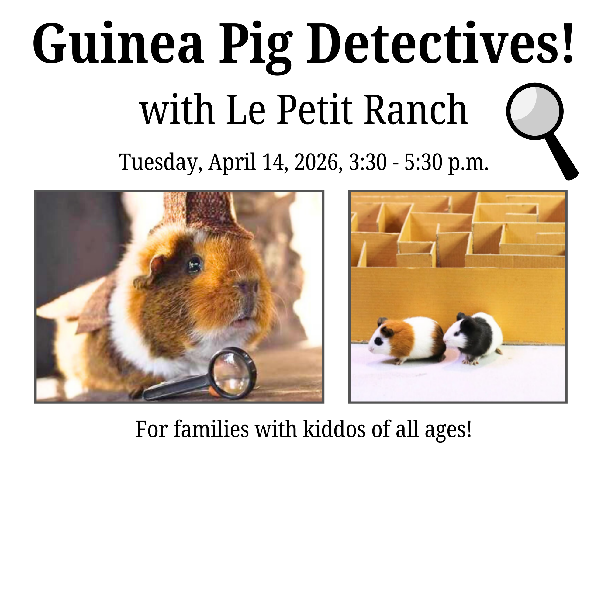 Guinea pigs